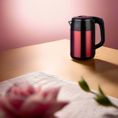 Double Layer Electric Kettle